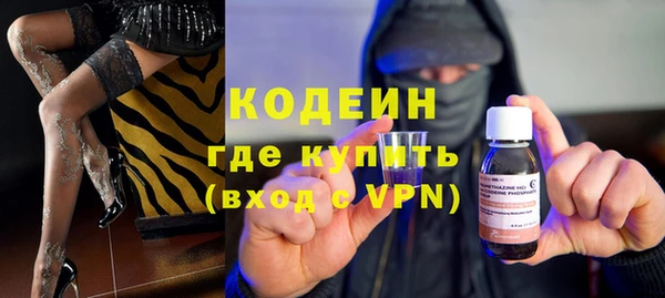 шишки Гусь-Хрустальный