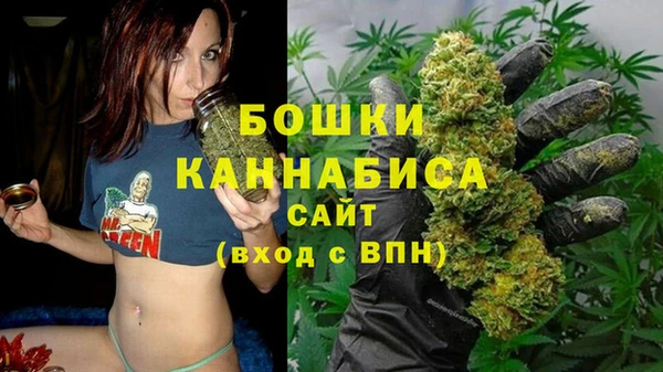 шишки Гусь-Хрустальный