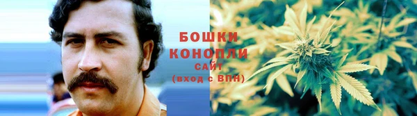 шишки Гусь-Хрустальный