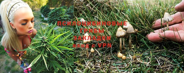MESCALINE Гусиноозёрск