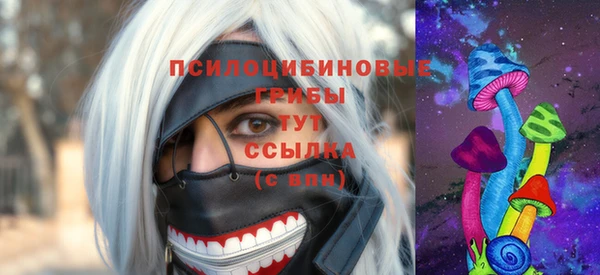 шишки Гусь-Хрустальный